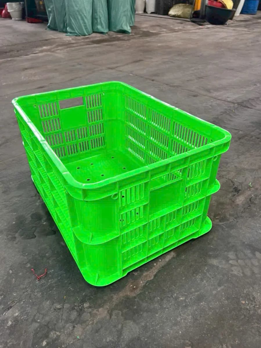 Két cá cơm, Sóng Nhựa | Minh Đức Plastic