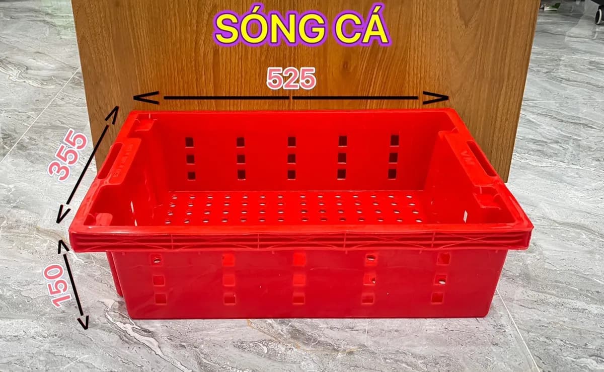 Két cá, Sóng Nhựa | Minh Đức Plastic