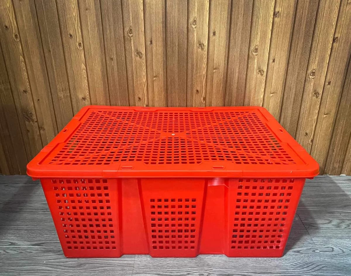 Rổ cà chua, Sóng Nhựa | Minh Đức Plastic