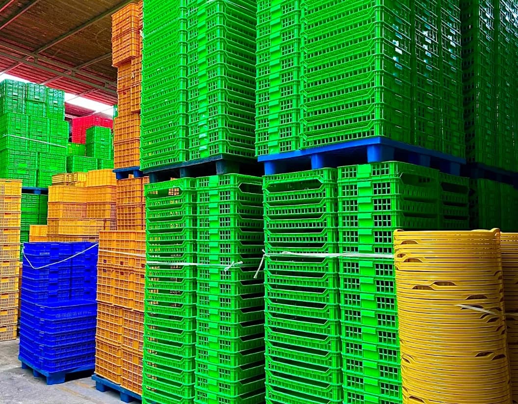 Rổ Cấp Đông Là Yếu Tố Quan Trọng Trong Bảo Quản Thực Phẩm?