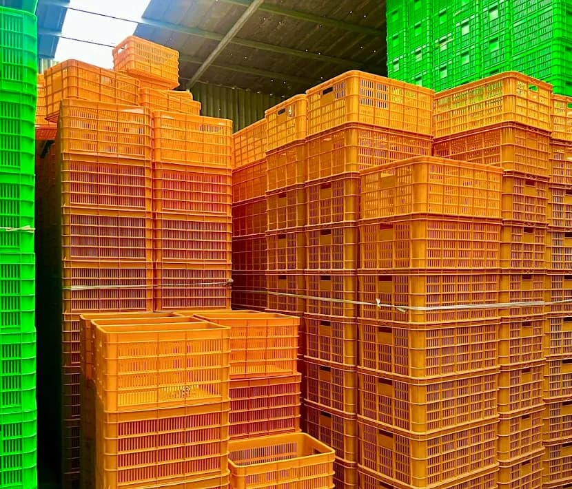 Rổ Nhựa Hở 2T5 Giúp Tăng Hiệu Quả Lưu Trữ Và Phân Loại Hàng Hóa