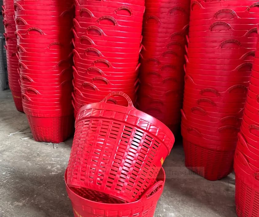 Cần Xé Nhựa Đúc Nguyên Khối Giúp Tăng Tuổi Thọ Gấp Nhiều Lần