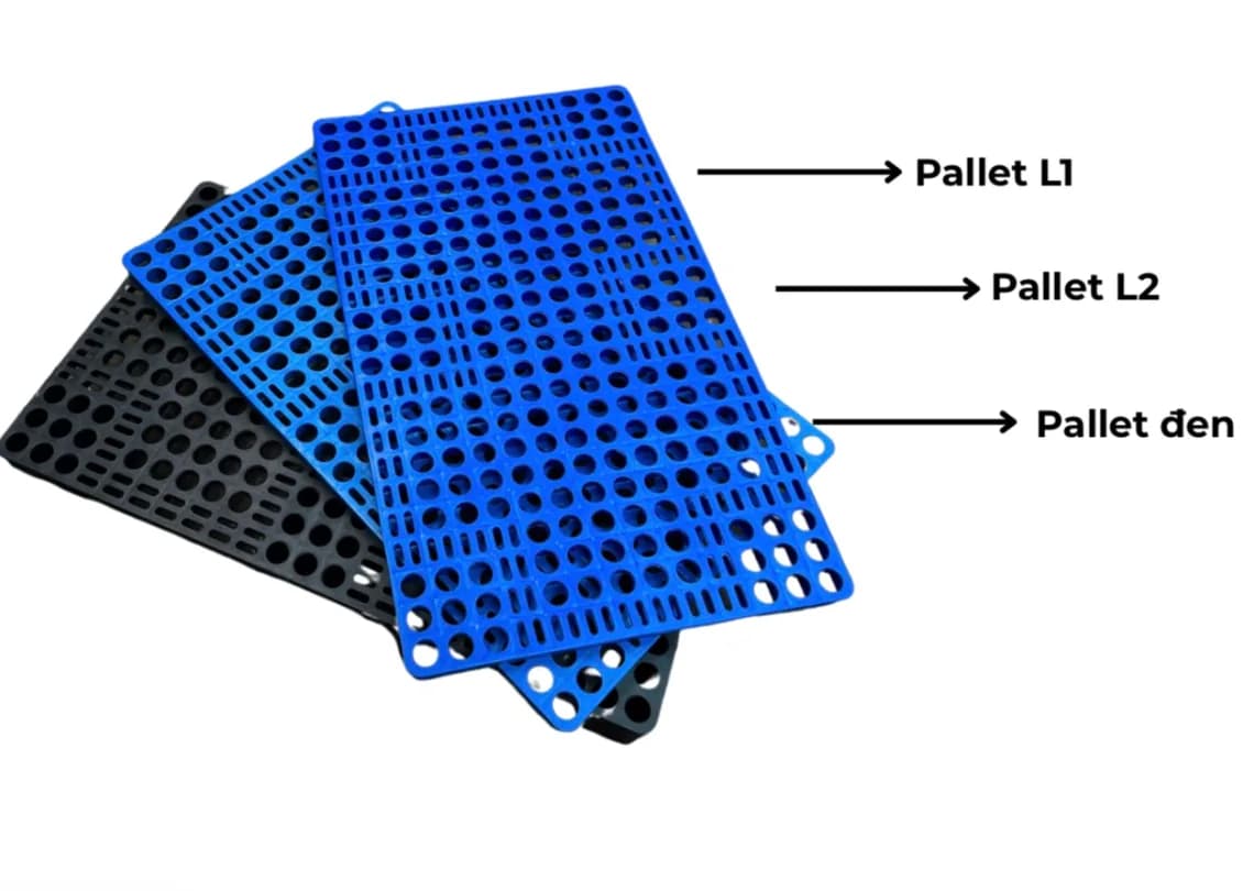 Kinh Nghiệm Chọn Pallet Lót Sàn Không Chân Cho Nhà Xưởng Mới