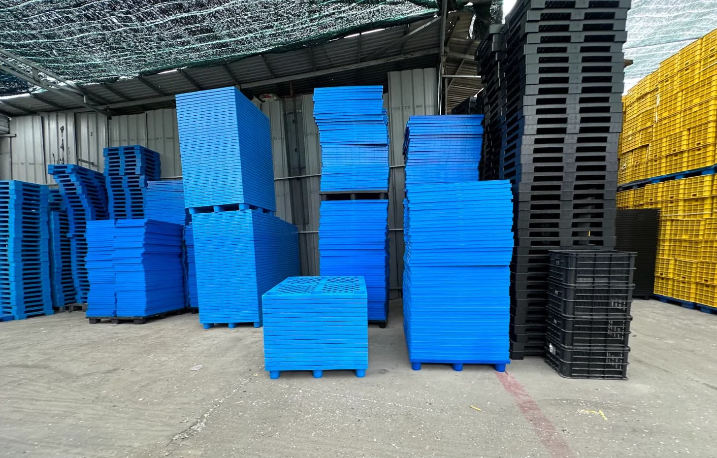 Sai Lầm Khi Mua Pallet Chân Cốc Giá Rẻ Khiến Doanh Nghiệp Tốn Kém