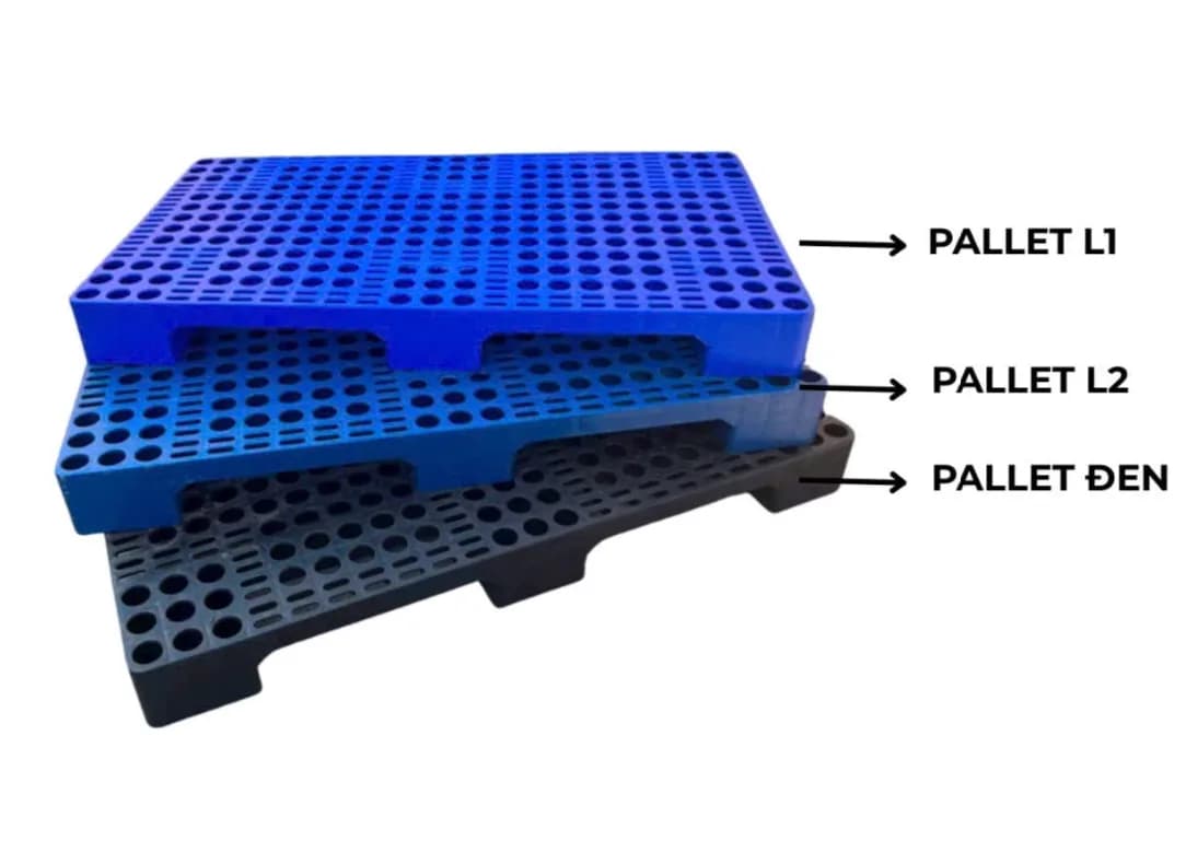 Pallet Nhựa Mới Mang Đến Sự Ổn Định Trong Hoạt Động Kho Vận