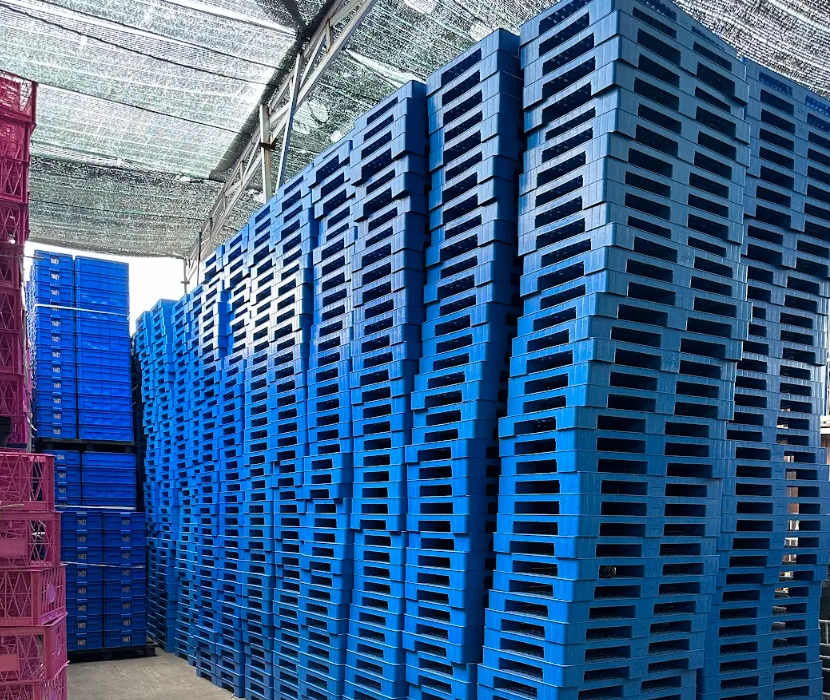 Tiêu chí lựa chọn pallet chân cốc chất lượng