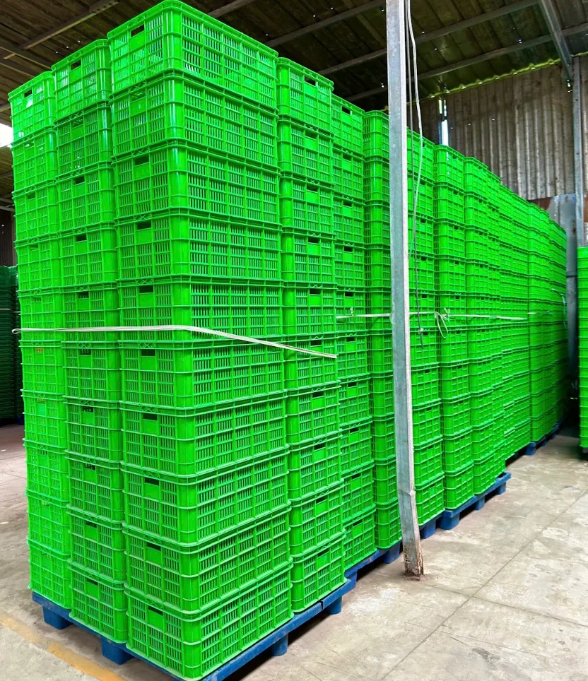 Ứng dụng trong thực tế của rổ 2T5 trong doanh nghiệp