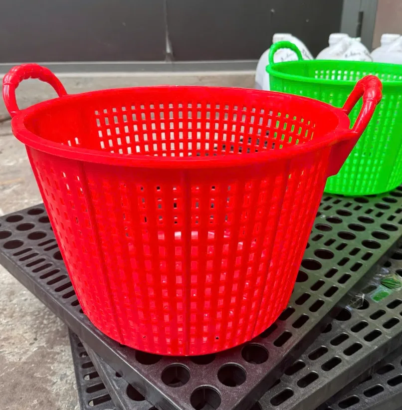 Cách lựa chọn két cá cơm phù hợp cho nhu cầu sử dụng