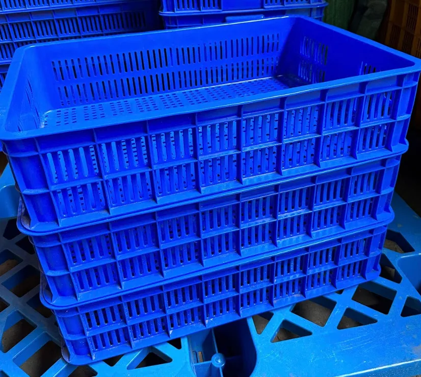 Những sai lầm phổ biến khi chọn rổ 1T5