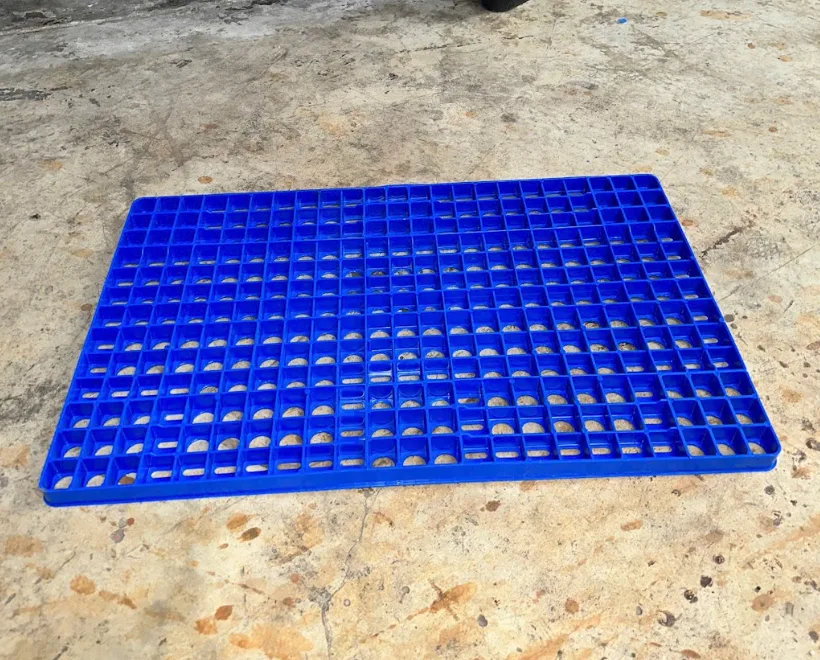 Các thông số kỹ thuật pallet nhựa cơ bản cần quan tâm khi mua