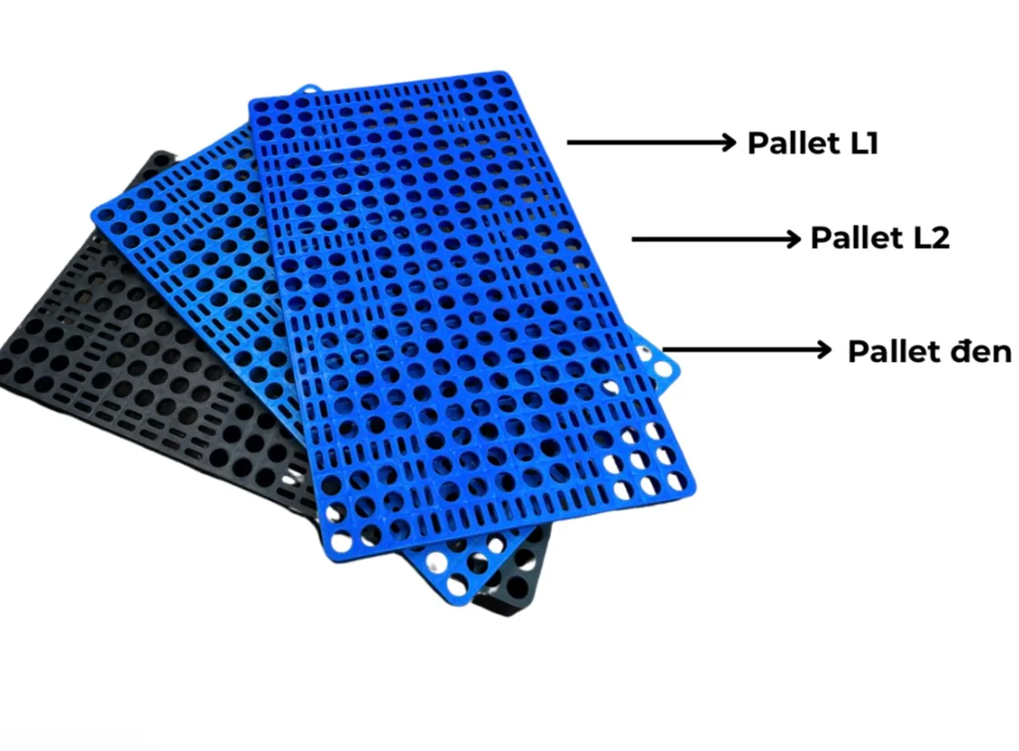 Hệ quả khi lựa chọn đúng thông số kỹ thuật pallet nhựa