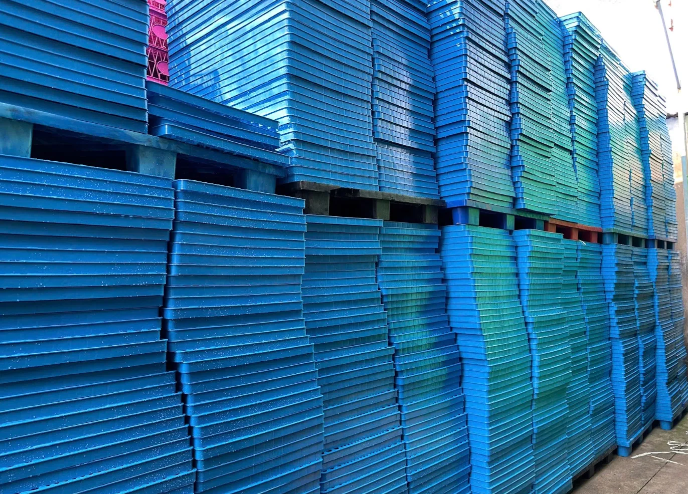 Những rủi ro thường gặp khi sử dụng pallet nhựa cũ giá rẻ