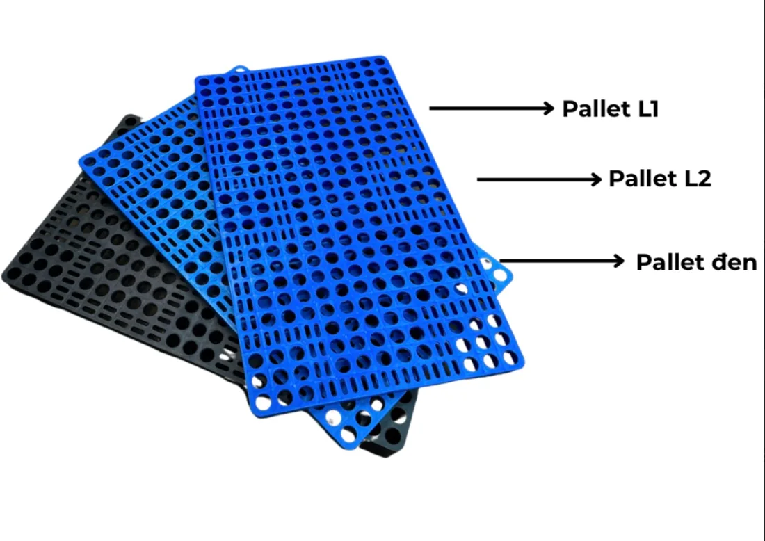 Cách kiểm tra pallet nhựa cũ giá rẻ trước khi sử dụng